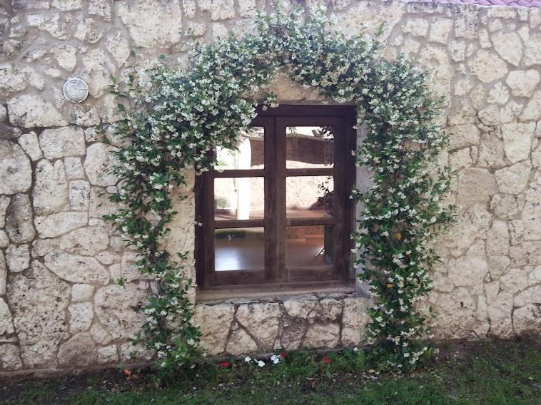 Terrazas Parana Villa Bagian luar foto