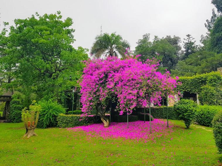 Terrazas Parana Villa Bagian luar foto